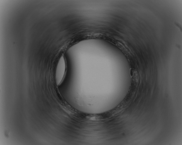X0000093360564200710111310