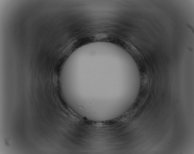 X0000093360565200710111310
