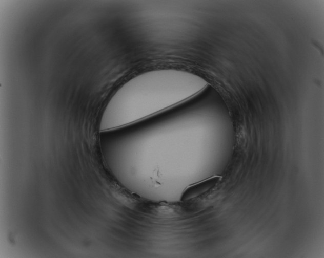 X0000093360566200710111310