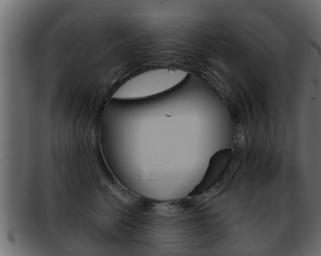 X0000093360568200710111310