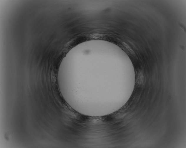 X0000093360569200710111310