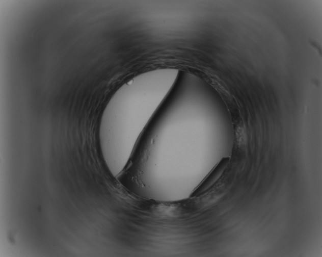 X0000093360570200710111310