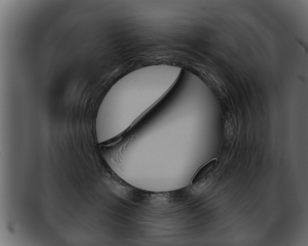 X0000093360574200710111311