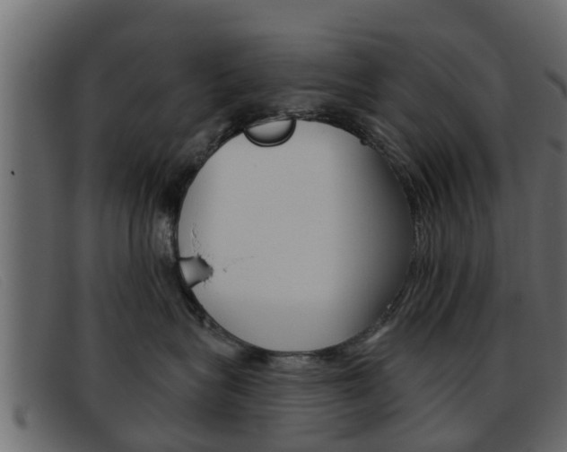 X0000093360575200710111311
