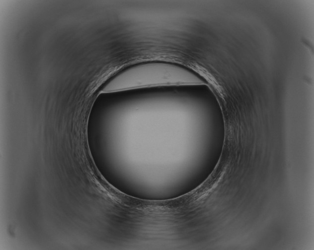 X0000093360577200710111310