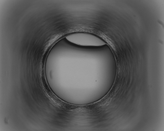 X0000093360578200710111310