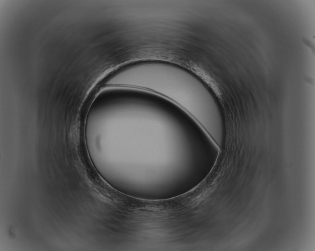 X0000093360580200710111310