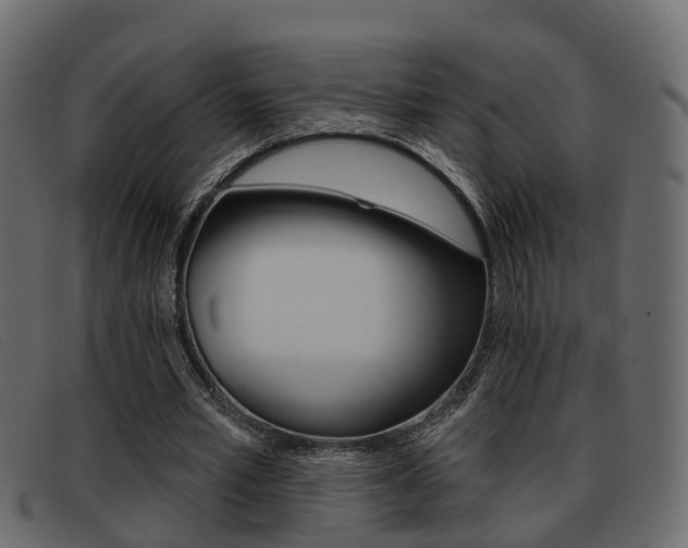 X0000093360581200710111310