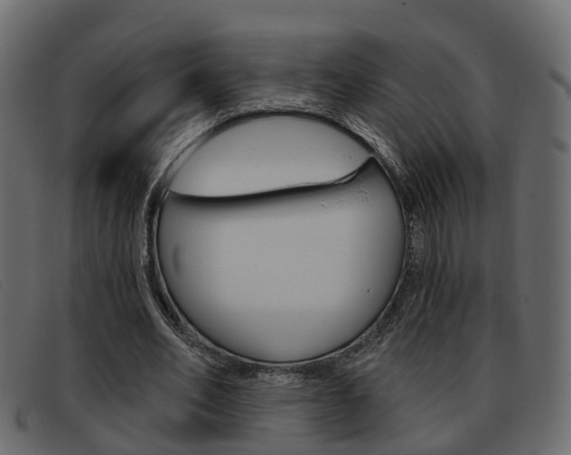 X0000093360582200710111310