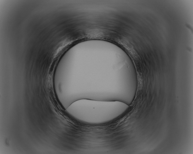 X0000093360583200710111310
