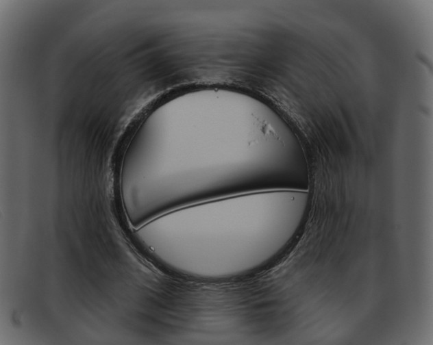 X0000093360584200710111310