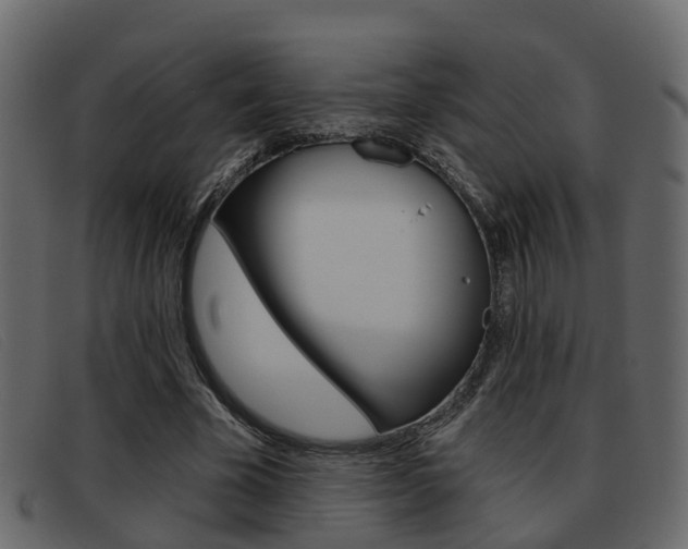X0000093360585200710111310