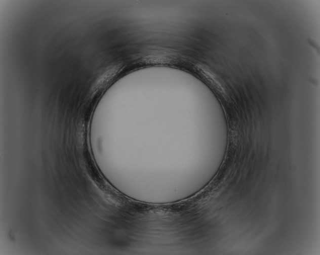 X0000093360586200710111310