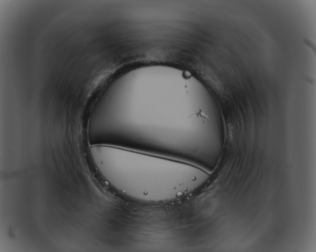 X0000093360588200710111310