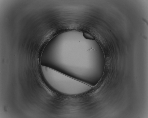 X0000093360589200710111310