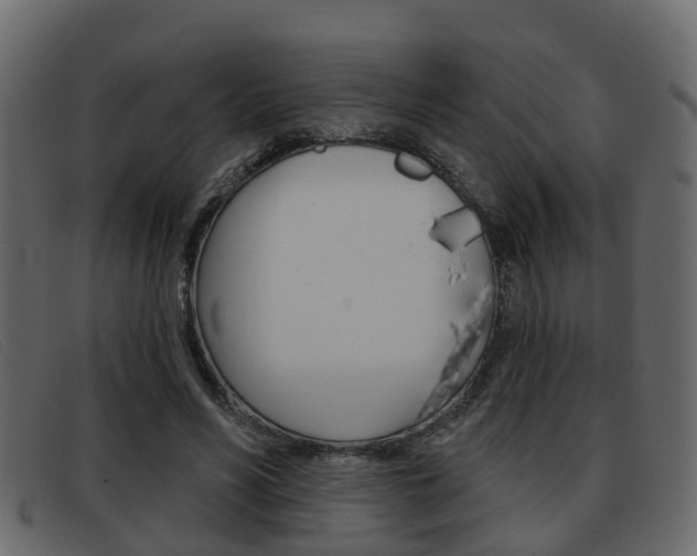 X0000093360590200710111310
