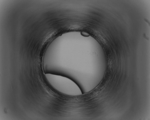 X0000093360591200710111310