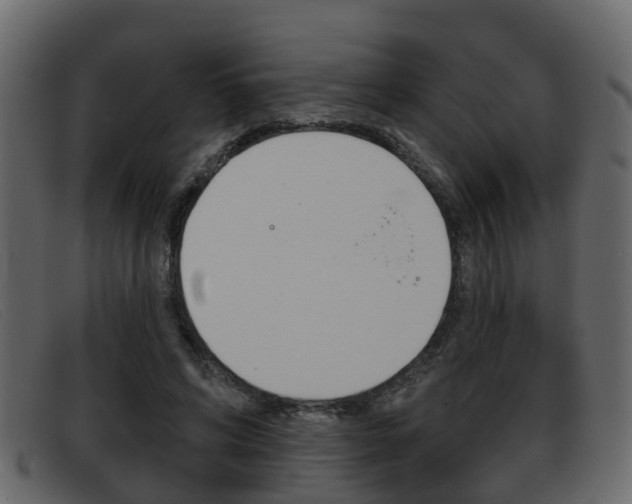 X0000093360592200710111310