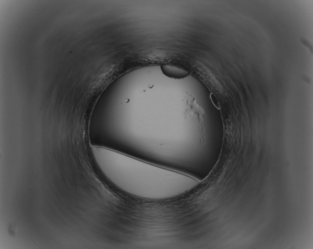 X0000093360593200710111310