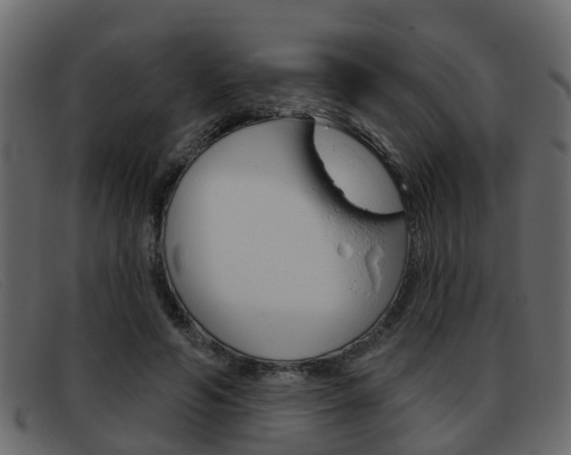 X0000093360594200710111310