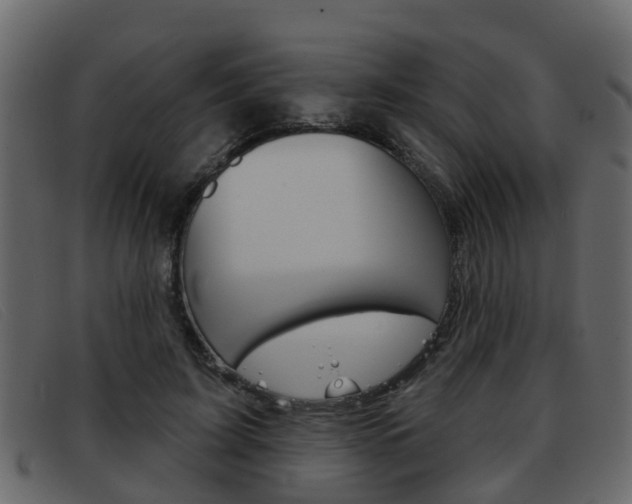 X0000093360595200710111310