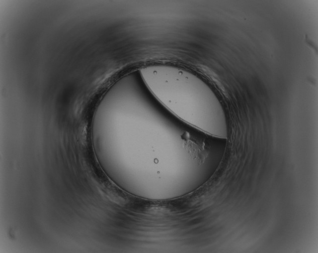 X0000093360596200710111310