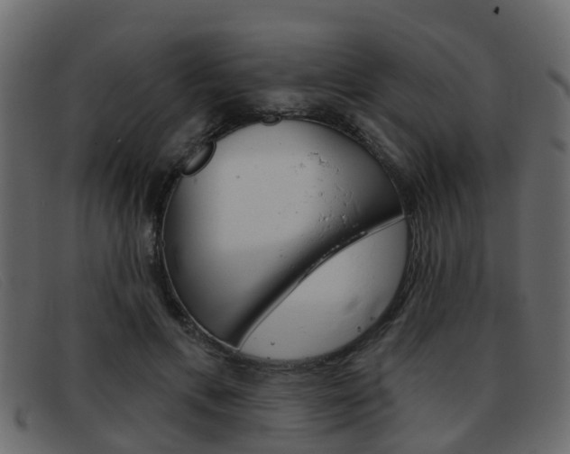 X0000093360597200710111310