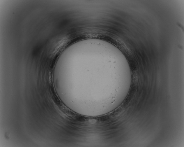 X0000093360598200710111310