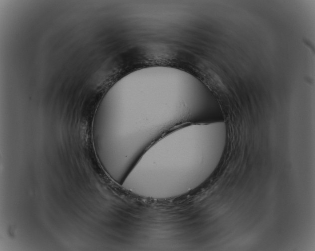 X0000093360599200710111310