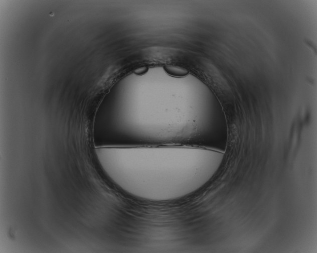 X0000093360600200710111310