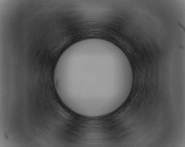 X0000093360601200710111310