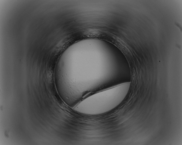 X0000093360604200710111310