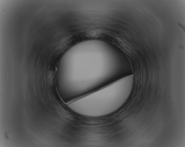 X0000093360605200710111310