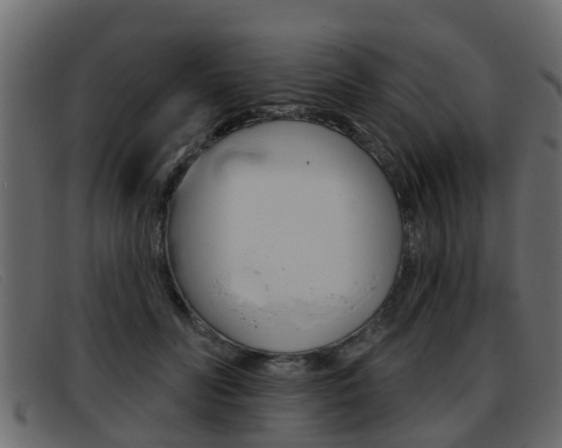 X0000093360606200710111310