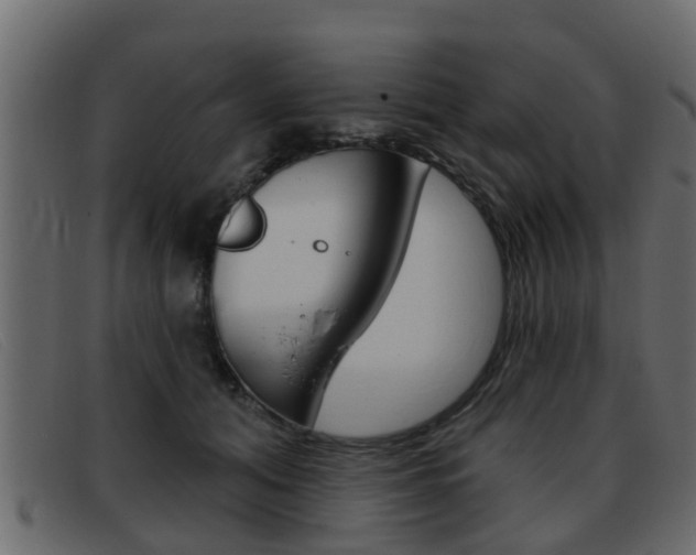 X0000093360608200710111310