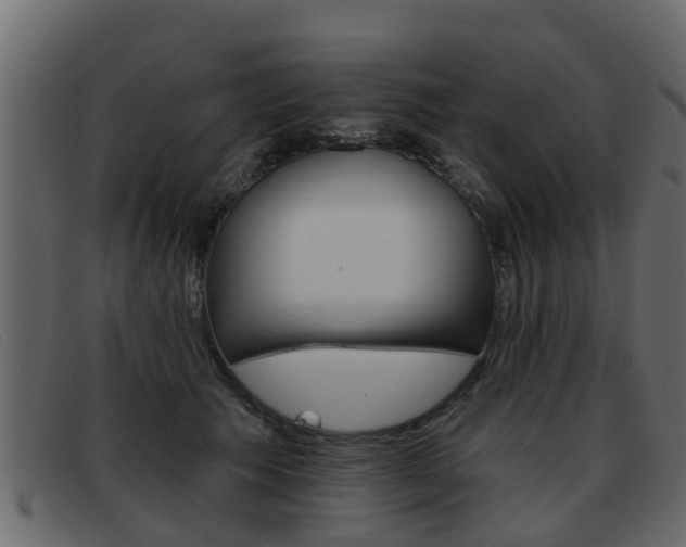 X0000093360609200710111310
