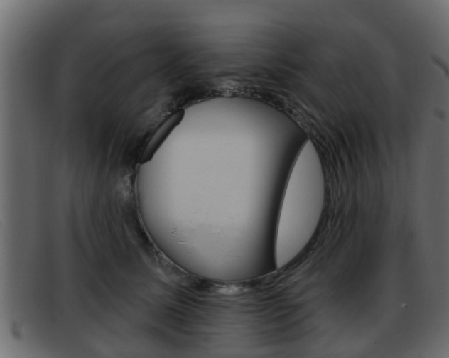 X0000093360611200710111310
