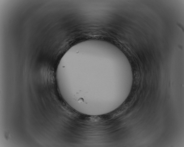 X0000093360612200710111310