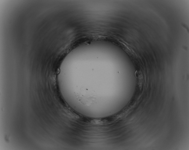 X0000093360613200710111310