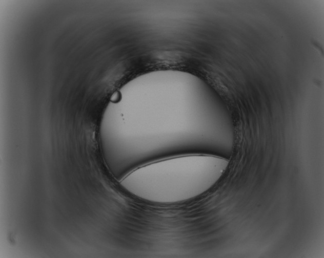 X0000093360615200710111310
