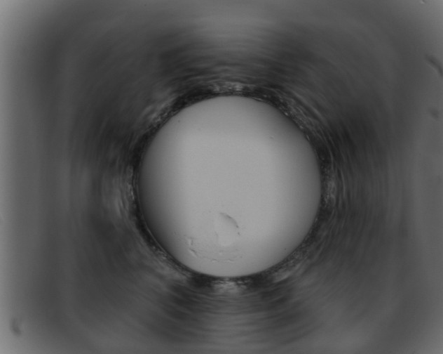 X0000093360616200710111310