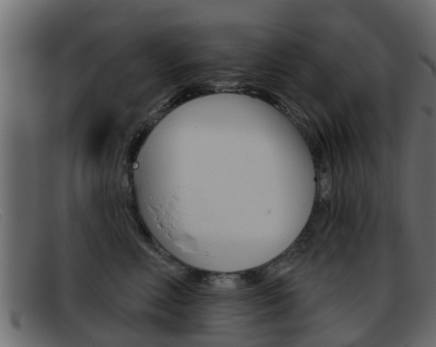 X0000093360618200710111309