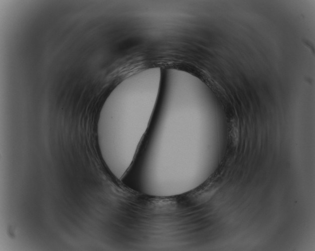 X0000093360619200710111309