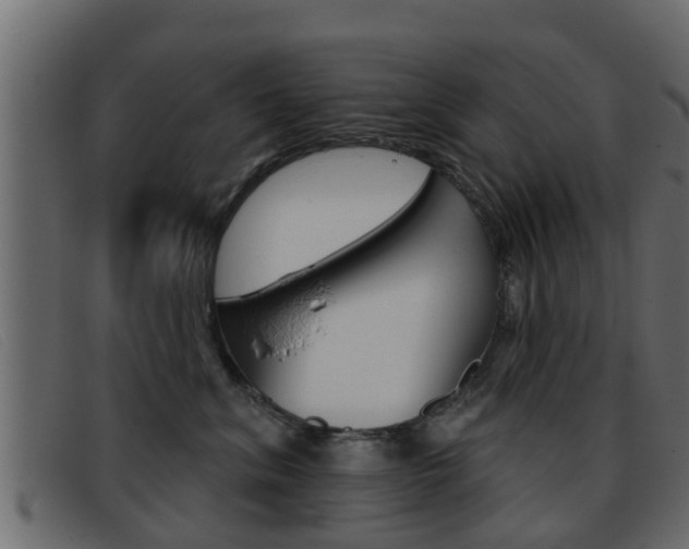 X0000093360620200710111309