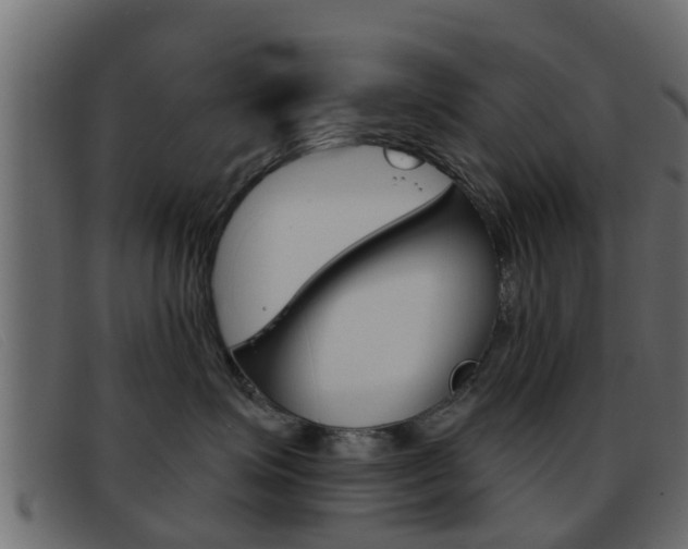 X0000093360623200710111309