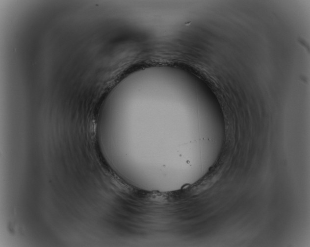 X0000093360624200710111309