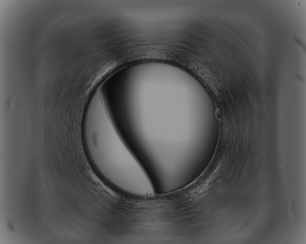 X0000093360625200710111309