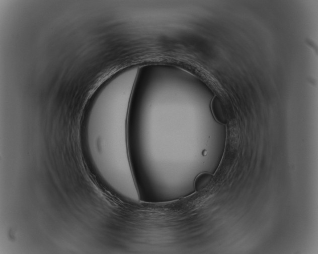 X0000093360626200710111309