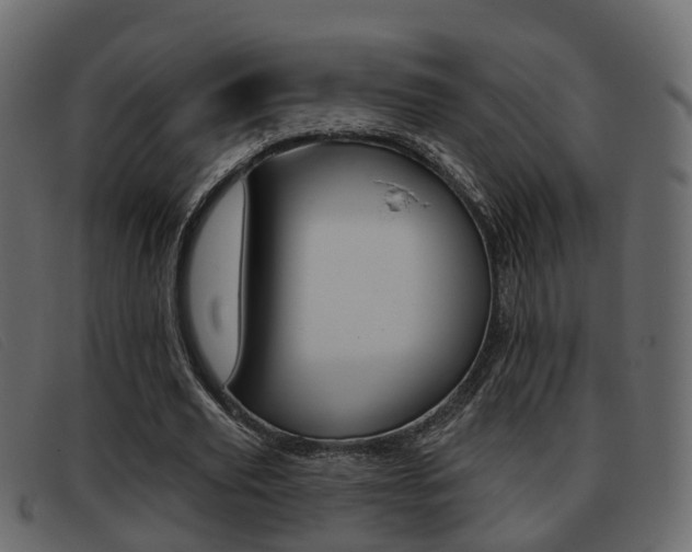 X0000093360629200710111309