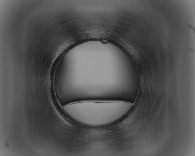 X0000093360630200710111309